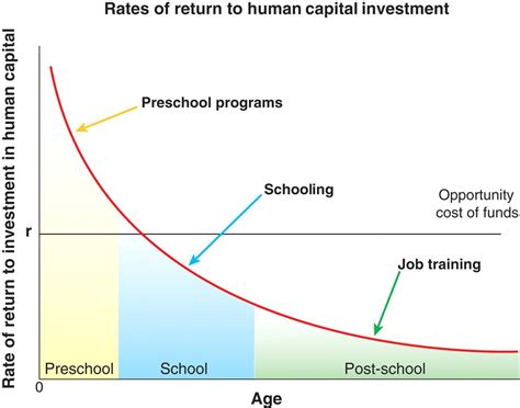 Human Life Cycle Stages For Kids - Viewing Gallery