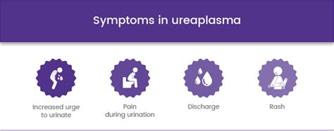 Ureaplasma Urealyticum and U parvum Infection Test in Dubai (STD)