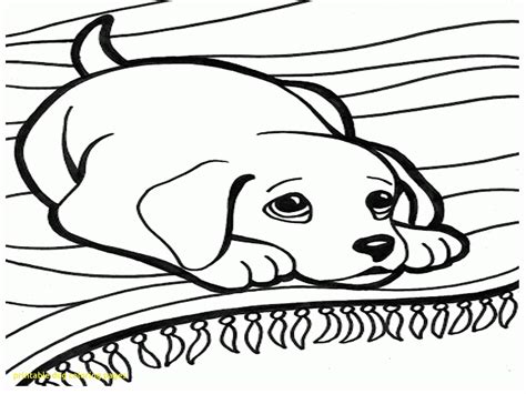 Dog Coloring Pages Printable at GetDrawings | Free download