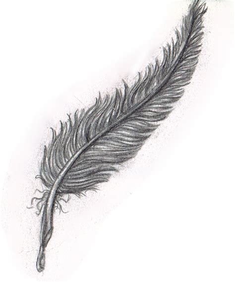 Pencil Sketch: Black Feather by Yako on deviantART | Black feathers ...