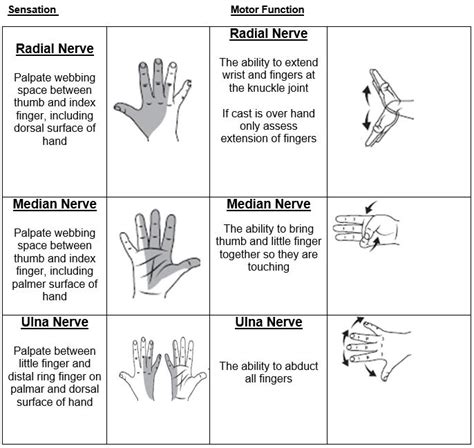 Clinical Guidelines (Nursing) : Neurovascular observations