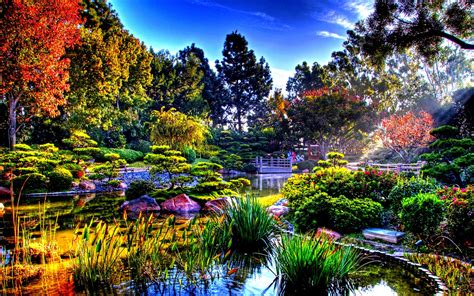 Colorful nature in the sun rays - Japanese Garden Wallpaper