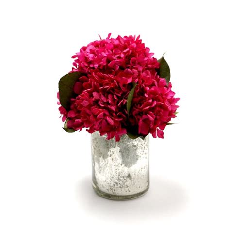 Freeze Dried Hydrangeas Freeze Dried Flowers Freeze Dried