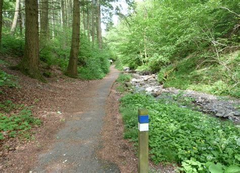 A walk in Grizedale Forest | Where2Walk