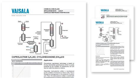 Caprolactam Production Process | Vaisala