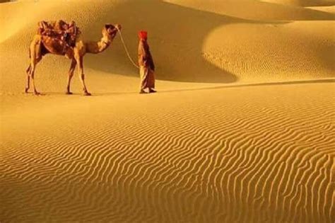 A Camel Safari Through The Thar Desert Sand Dunes Near Bikaner