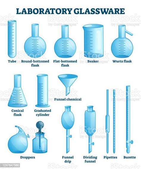 Laboratory glassware vector illustration. Labeled science equipment ...