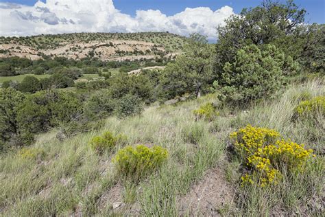 Near C Bar Canyon | Near C Bar Canyon in the Big Burro Mount… | Flickr