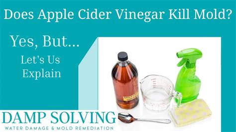 Does Apple Cider Vinegar Kill Black Mold? | Damp Solving Water & Mold