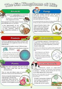 Scientific classification of Living Things Project 6 Kingdoms of Life Poster | Science lesson ...