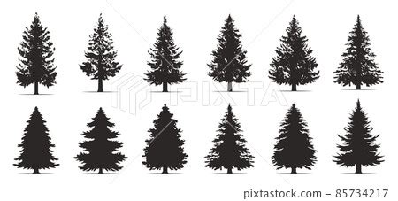 Clipart Evergreen Tree Silhouette