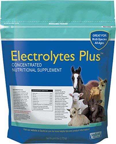 633132 Electrolytes Plus Multi-Species Supplement ,... -- Check out the image by visiting the ...