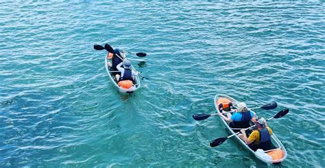 Kayaking clear through Clearwater | GetYourGuide