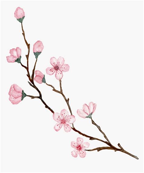 Cherry Blossom Design Drawing : At this stage it doesn't have to look perfect, just try to ...