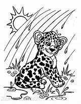 Jaguar Kids Coloring Pages Drawing Rainforest Cartoon Printable  sketch template