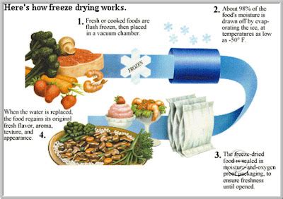 FOOD PRESERVATION : FREEZE-DRYING, IRRADIATION AND VACUUM PACKING | S T ...