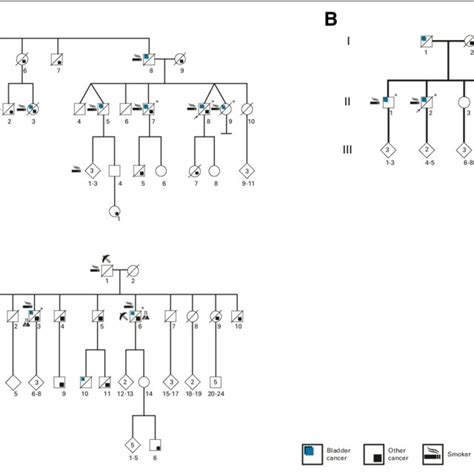 Schematic representation of multiplex urinary bladder cancer pedigrees... | Download Scientific ...