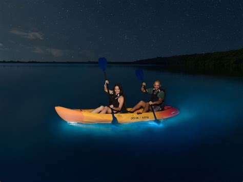 Exploring Puerto Rico’s Bioluminescent Bays | discoverpuertorico.com