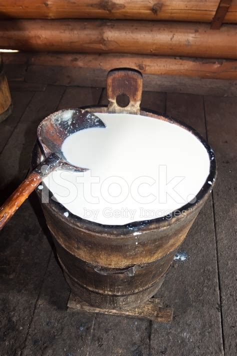 Fresh Sheep Milk Stock Photo | Royalty-Free | FreeImages