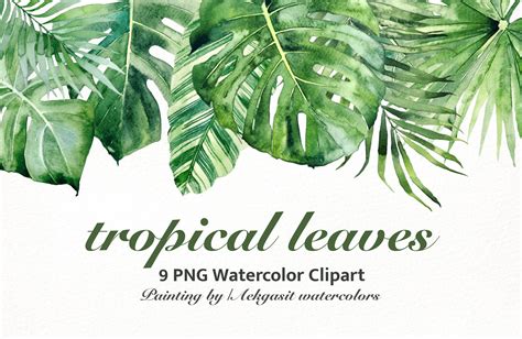 Watercolor Illustration Tropical Leaves Graphic by Aekgasit watercolors · Creative Fabrica