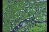 NASA Visible Earth: Lena River Delta, Russia