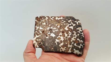 Large pallasite meteorite - Brenham - 383 grams!!! - Catawiki