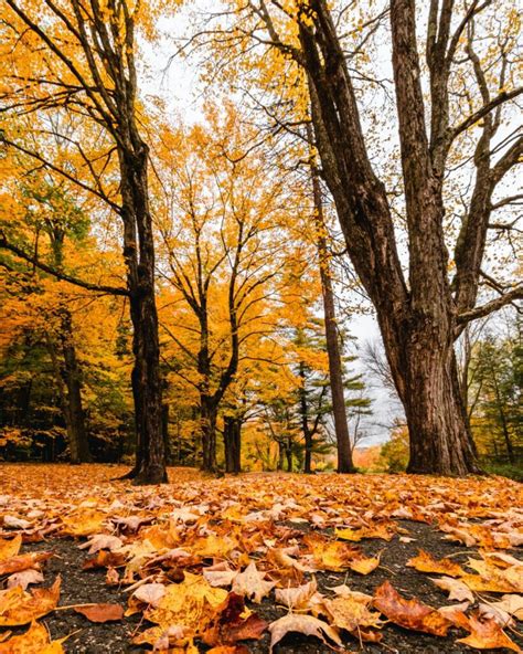 Ultimate Connecticut Fall Foliage Road Trip Guide