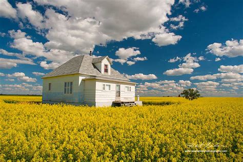 The Canadian Nature Photographer - Prairies and Foothills Portfolio ...