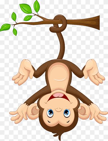 Monkey png images | PNGWing