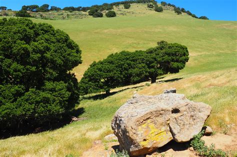 Brushy Peak Loop Trail - Lonely Hiker