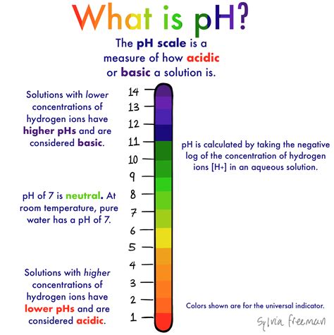 The Science Behind Face Moisturizers: Should They Have a Low pH? | Justinboey