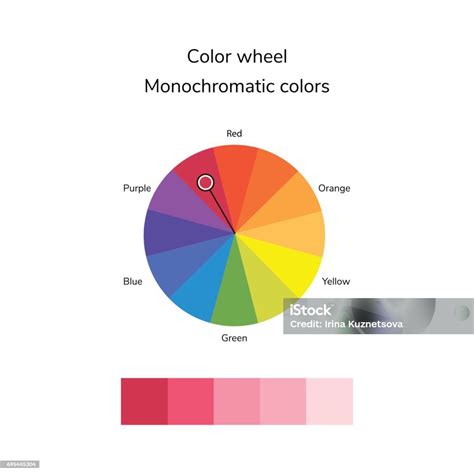 Ilustrasi Vektor Lingkaran Warna Infografis Palet Warna Monokromatik Ilustrasi Stok - Unduh ...