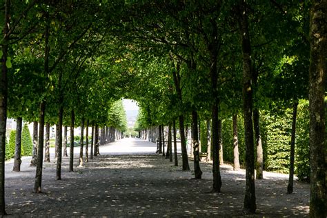 Schloss Schwetzingen - Erin at Large