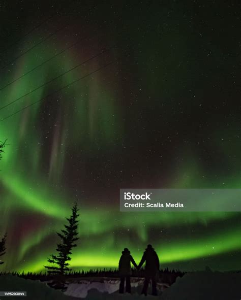 Aurora Borealis Seen In Northern Canada Yukon Territory Northern Lights ...