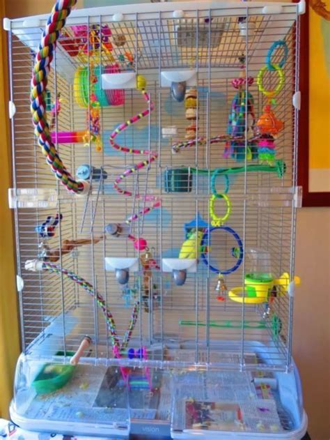 21Parakeet Diy | Parakeet cage, Pet bird cage, Best pet birds