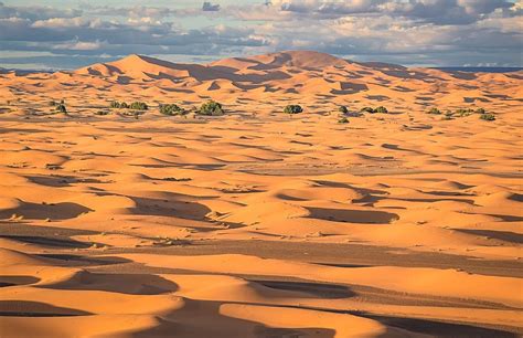 The best Dunes of Morocco: Erg Chebbi vs Erg Chigaga