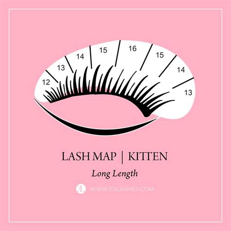 Kitten eye lash map 😻 | Eyelash extensions, Eyelash extension supplies, Lash extensions