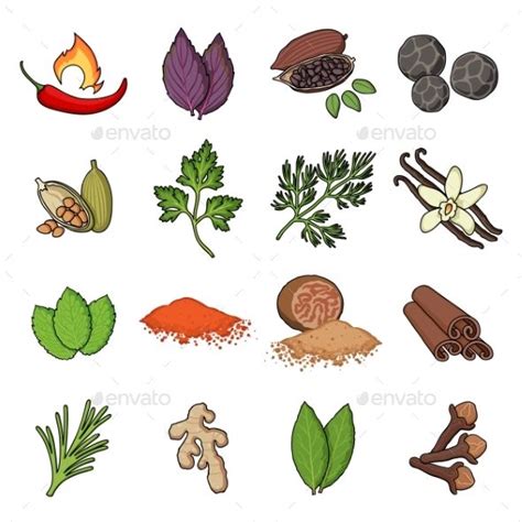 Herb and Spices Cartoon Icons | Rótulos para temperos, Ervas, Temperos