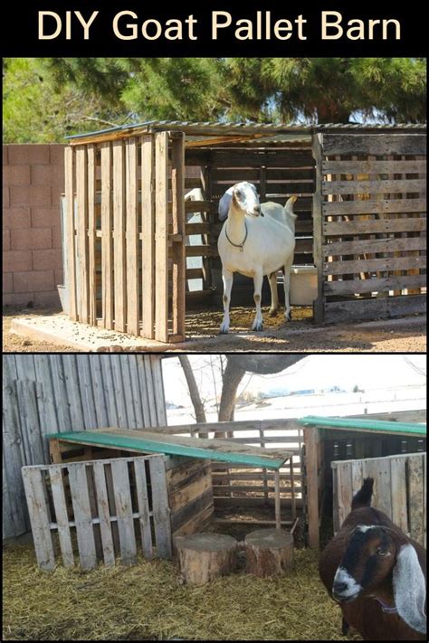 Long-Lasting Goat Pallet Barn: Cheap 8-Step Project | Ziegenhaltung, Schafe, Ziege