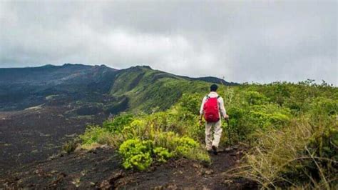 Isabela Island Galapagos - The Definitive Visitor Guide