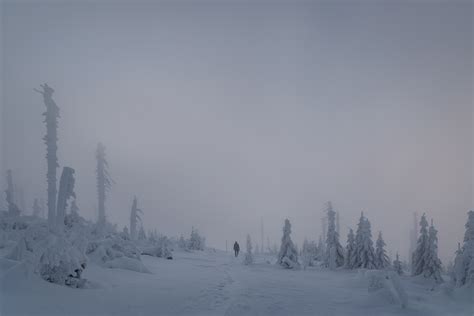 Winter in Bavaria, Germany (2021) :: Behance