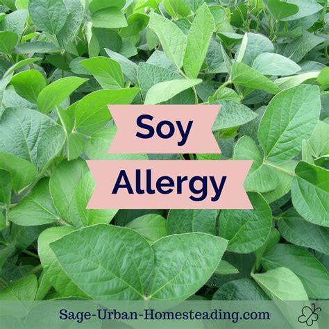 Soy Allergy