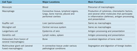 Connective Tissue | Basicmedical Key