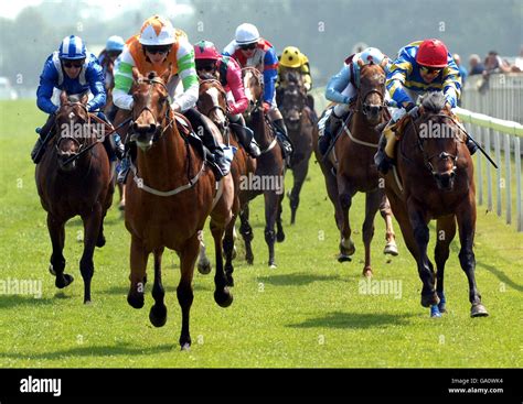 Horse Racing - Ripon Racecourse Stock Photo - Alamy