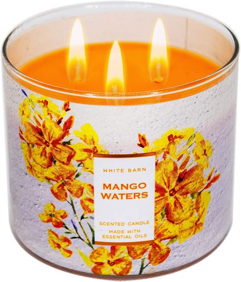 Amazon.com: Bath and Body Works White Barn Bergamot Waters 3 Wick Candle 14.5 Ounces : Home ...