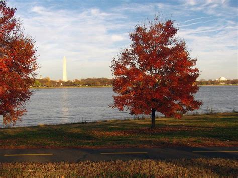 Weather and Climate in Alexandria, Virginia | MilitaryByOwner