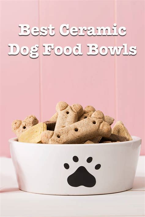 Best Ceramic Dog Bowls - Handy Reviews of the Top Bowls