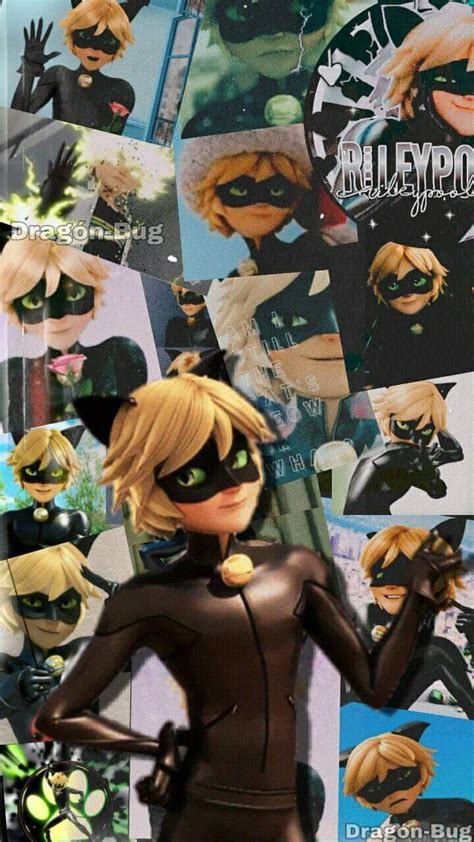 Cat Noir Wallpaper | Miraculous ladybug wallpaper, Miraculous wallpaper, Miraculous ladybug anime