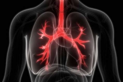 Pancreatic Enzyme Replacement Therapy: Challenges and Opportunities for First Wave BioPharma