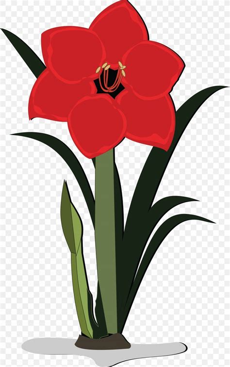 Flower Jersey Lily Clip Art, PNG, 4000x6376px, Flower, Amaryllis ...